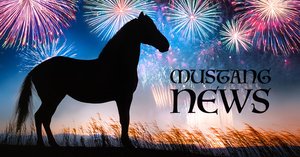 Welcome to Mustang News